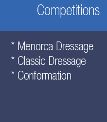 Competitions: menorcan taming, classic taming and morphologic