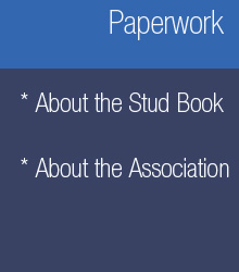 Paperwork about studbook, the association, the husbandry and the horses