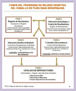 Diagrama PM