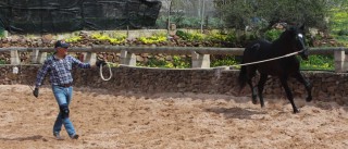 IMG_3963_r