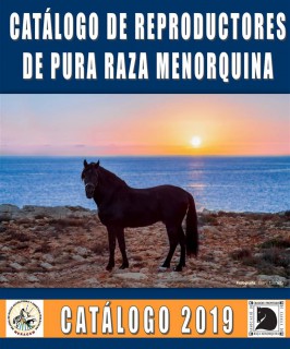 Portada catalogo 19