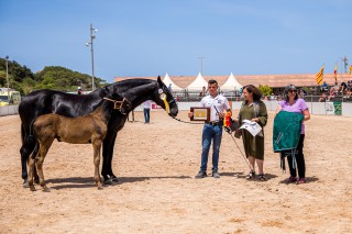 Campeona de la Raza 2022. Dulcinea GSM II.