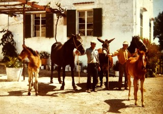Fuente: familia Martí