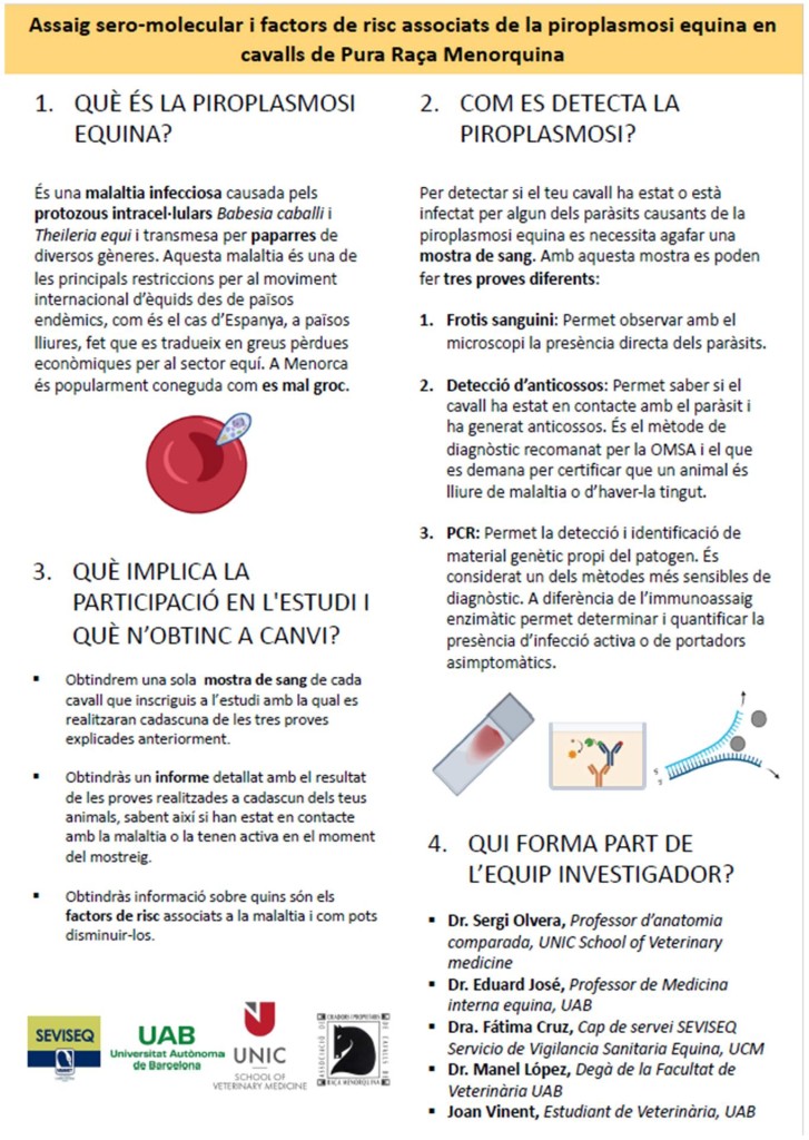 Imagen explicación