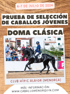 Cartel PSCJ 2024_red
