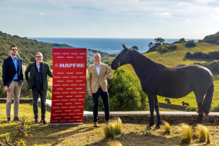 Mapfre redim