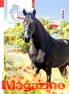 portada_redim_2