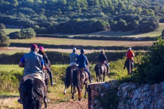 009A9151_cami cavalls