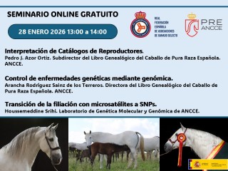 Seminario Equidos RFEAGAS