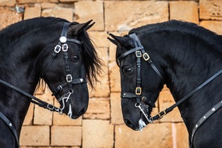 Copy of PHOTO-2025-10-21-21-48-08